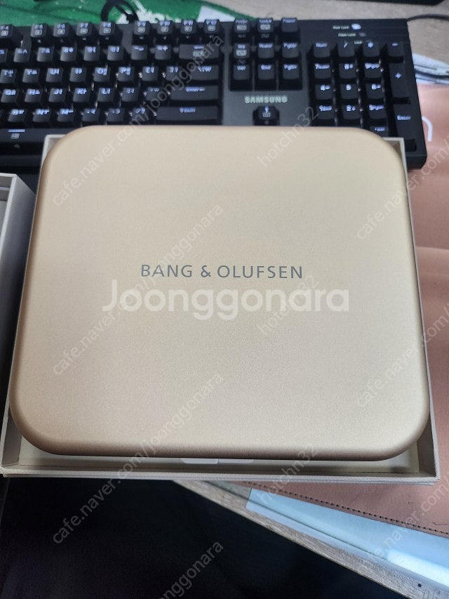 뱅앤올룹슨 H95 골드--1