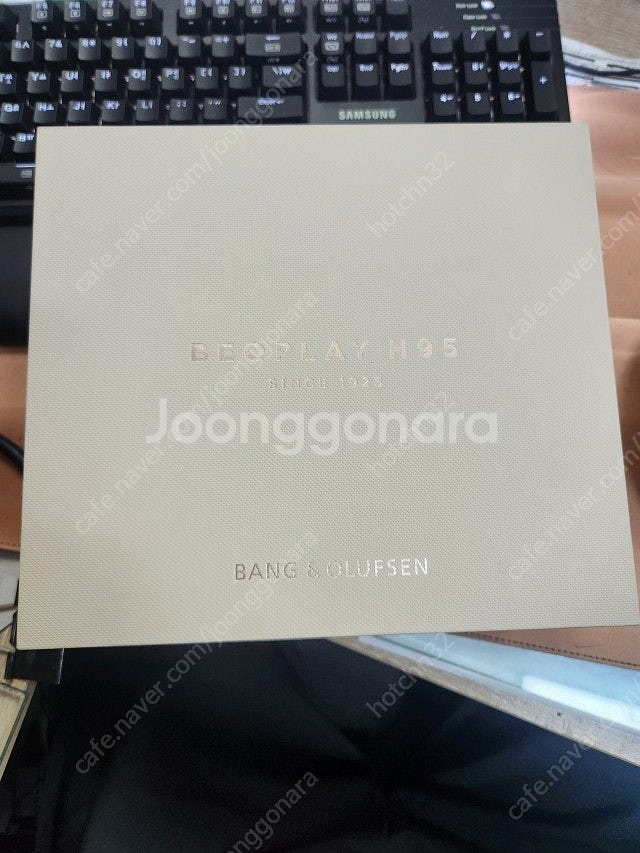 뱅앤올룹슨 H95 골드--2