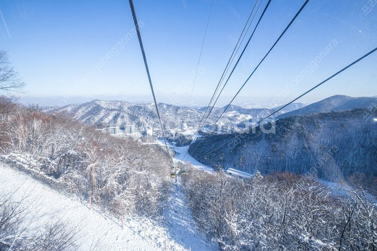 (12월14일) 용평리조트--0