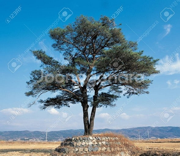 교복 동하복 블라우스 일괄--0
