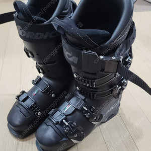 주니어 최상급 부츠 2324 노르디카 NORDICA DOBERMANN 5 S 240-245 440,000원