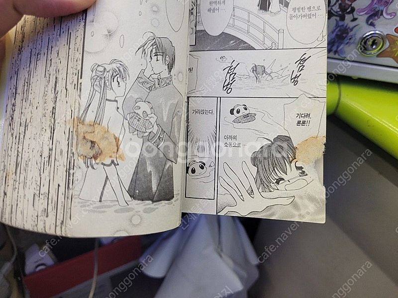 성드래곤걸 총13권--4