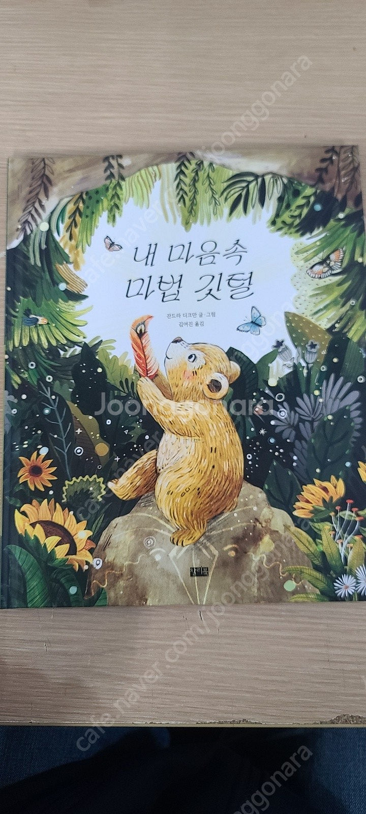 내 마음속 마법 깃털--0