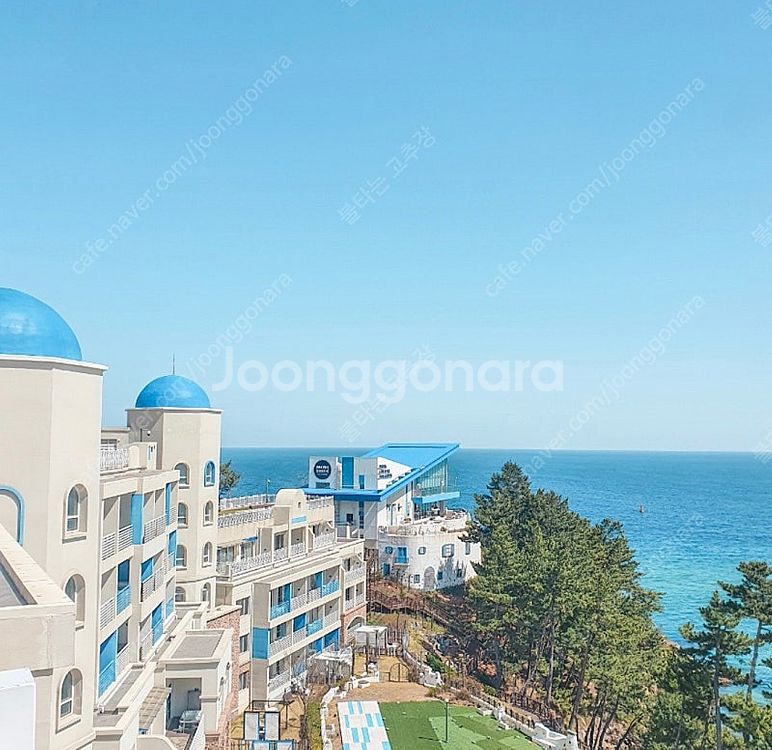 쏠비치 삼척 스위트 스탠다드 12.30~1.1(2박3)--1