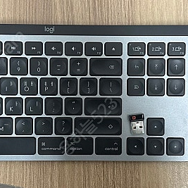 로지텍 MX keys combo for Mac