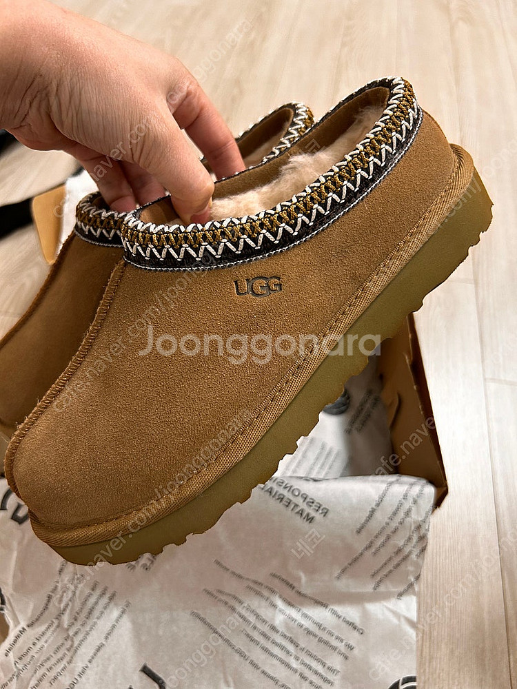 어그 타스만 240--2