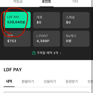 롯데LDF 539000->480000 가격더내림