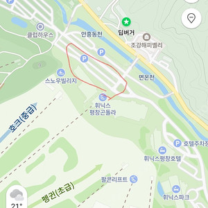 휘팍 휘닉스파크 프플 유스호스텔 주차권