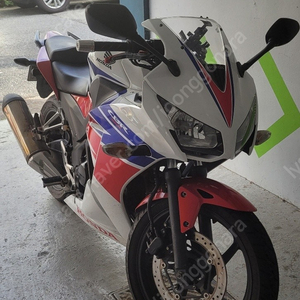 2015년식 CBR300R 건담카울 급처