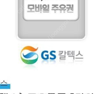 gs 주유권