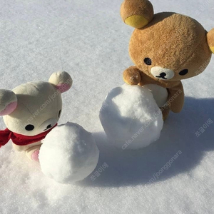 메이플콘 토요일 티켓 양도받아요