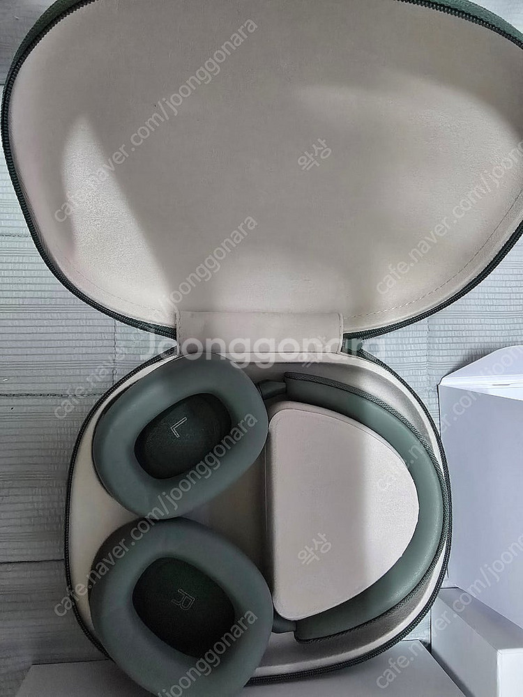 Px7 s2e 포레스트 그린 11월7일 국내정식발매판 ...--0