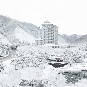 엘리시안 강촌 리조트