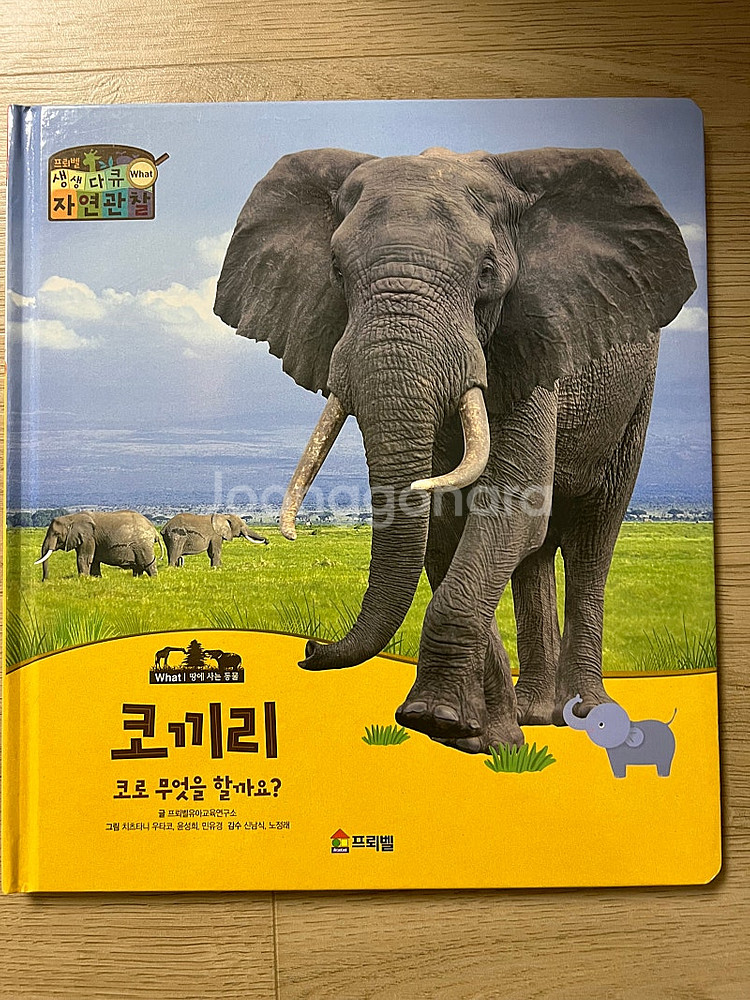 프뢰벨 생생다큐 자연관찰--1