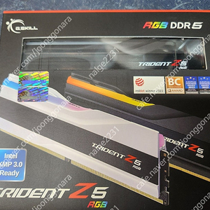 지스킬 ddr5 7200 cl 34 180,000원