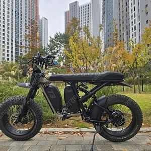 슈퍼73 R-adv 자토바이 전기자전거