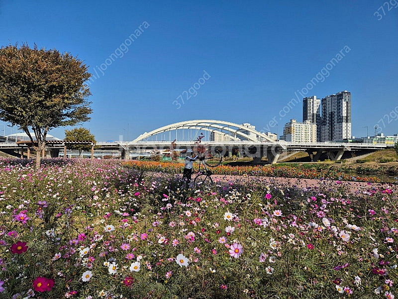 가민 바리아 715 삽니다--0