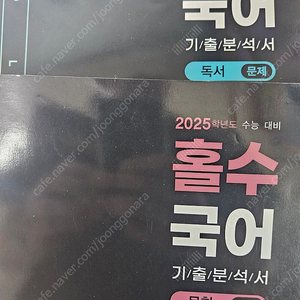 홀수 2025 독서. 문학 기출분석서