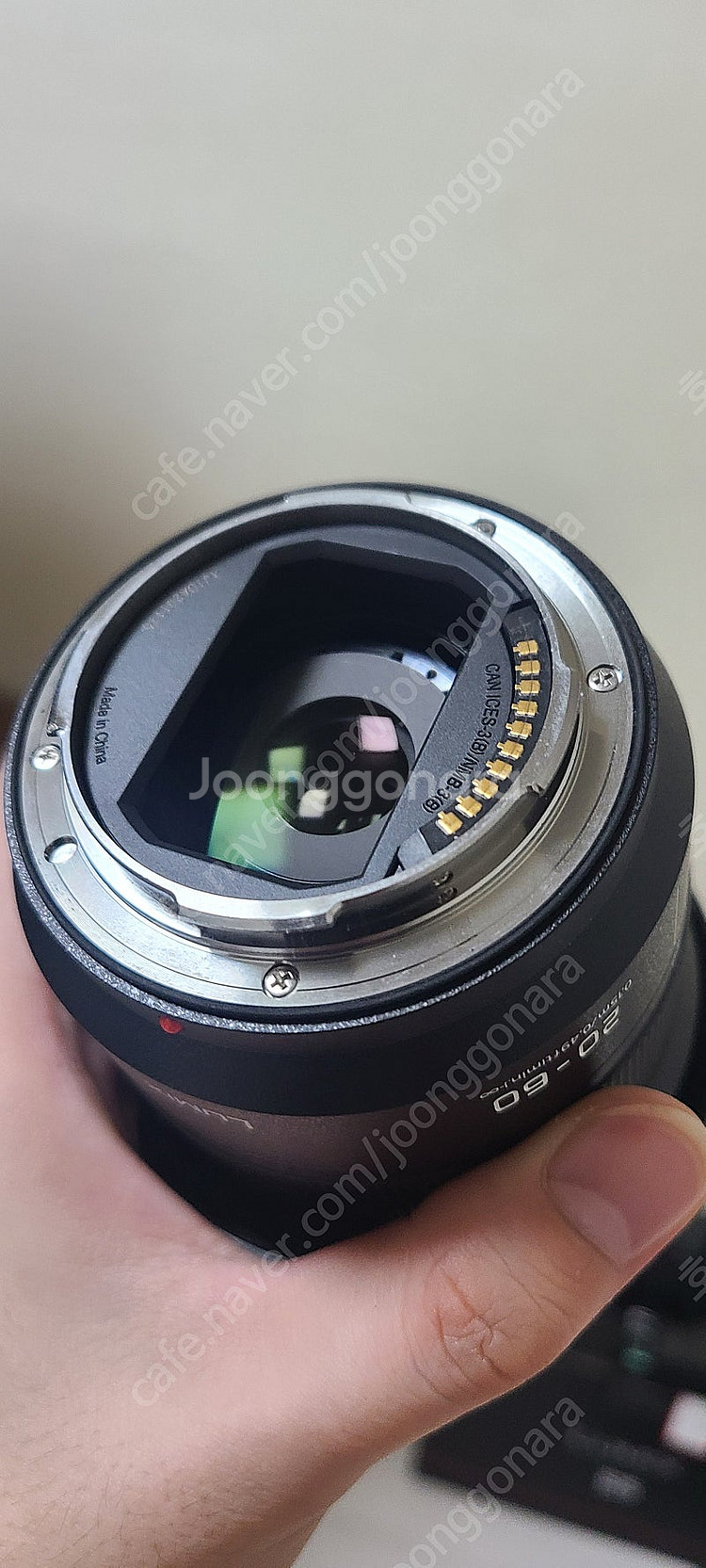 파나소닉 S5, 20-60, 케이지, 50mm--3