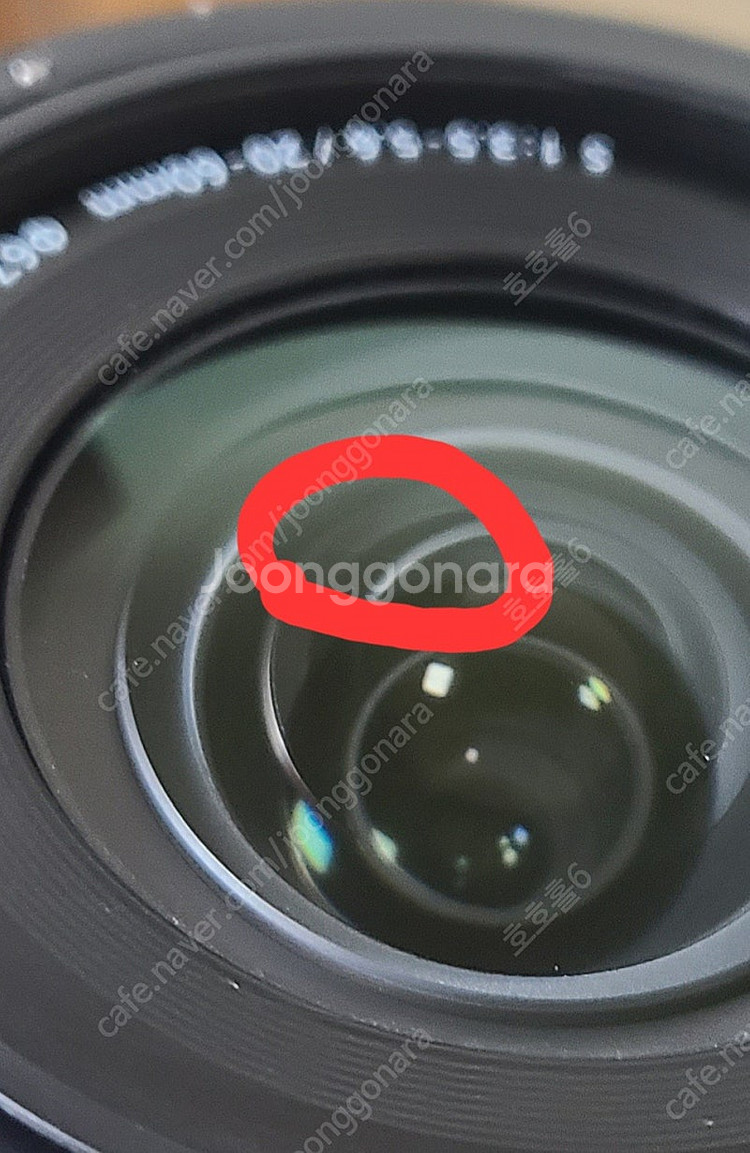 파나소닉 S5, 20-60, 케이지, 50mm--5