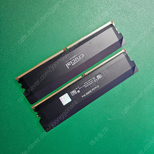 마이크론 Crucial DDR5-6000 CL36 PRO Overclocking 16GBx2