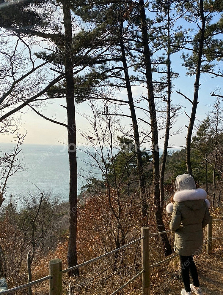 무스너클s사이즈--5