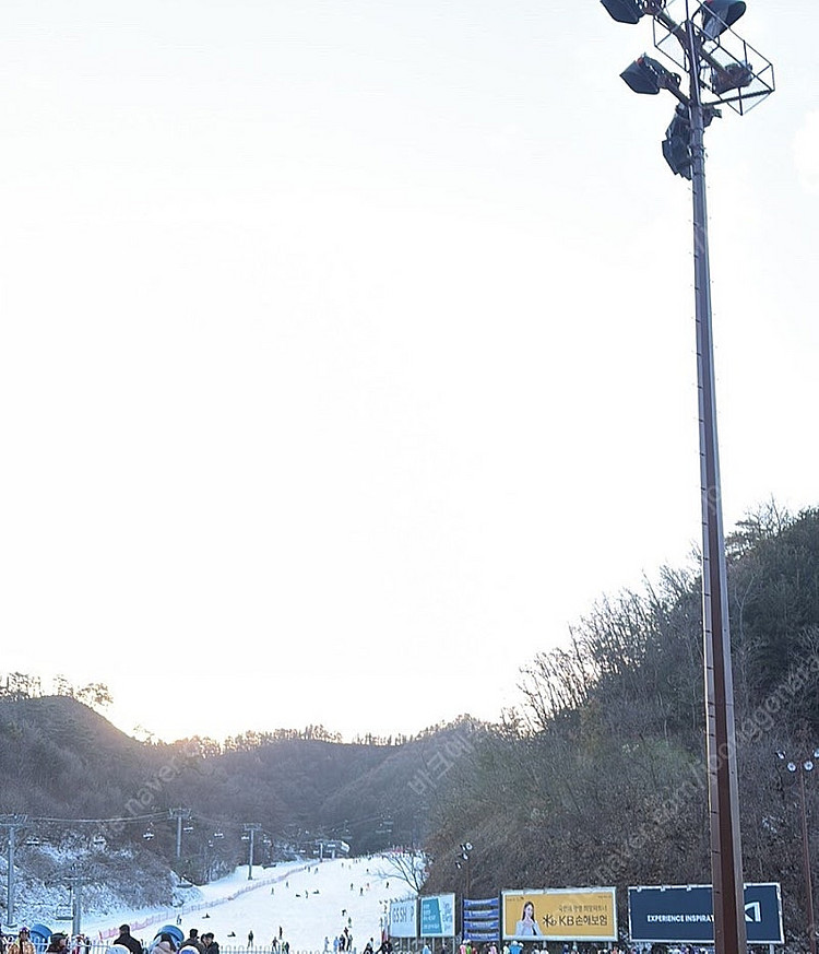 x5 양도 (정맥 재등록 필요)--1
