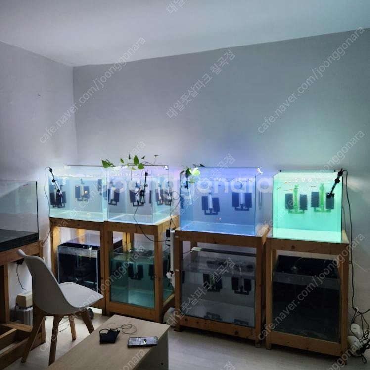 구피물방(16평)--1