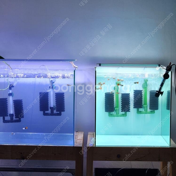 구피물방(16평)--2