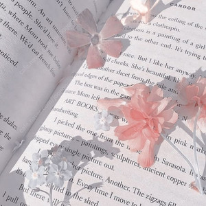 하이큐 패러디 개인지(불운의 아이콘)