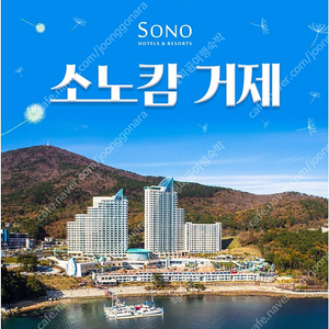 소노캄거제~소노벨변산~천안~경주~제주~청송~룸온리or패키지