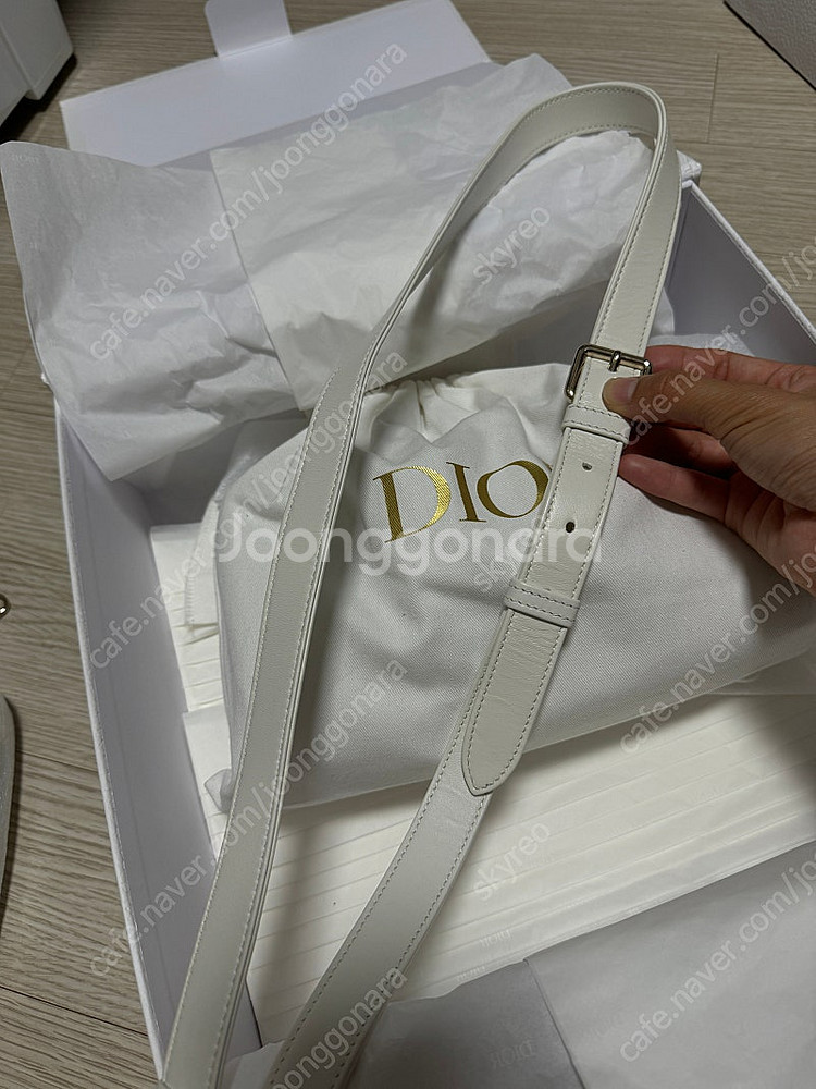 디올 레이디 디 조이백 스몰--8