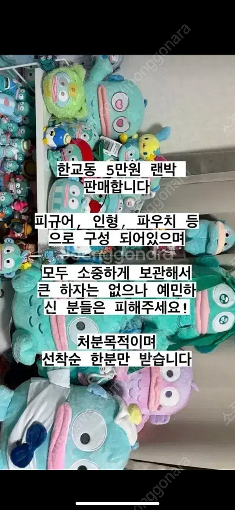 한교동 랜박--0