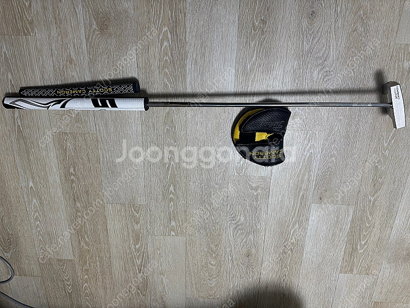 X5s 스카티카메룬 퍼터 팝니다--1