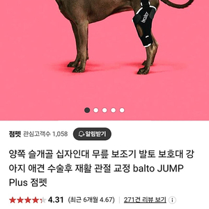 발토 대형견 슬개골 보호대