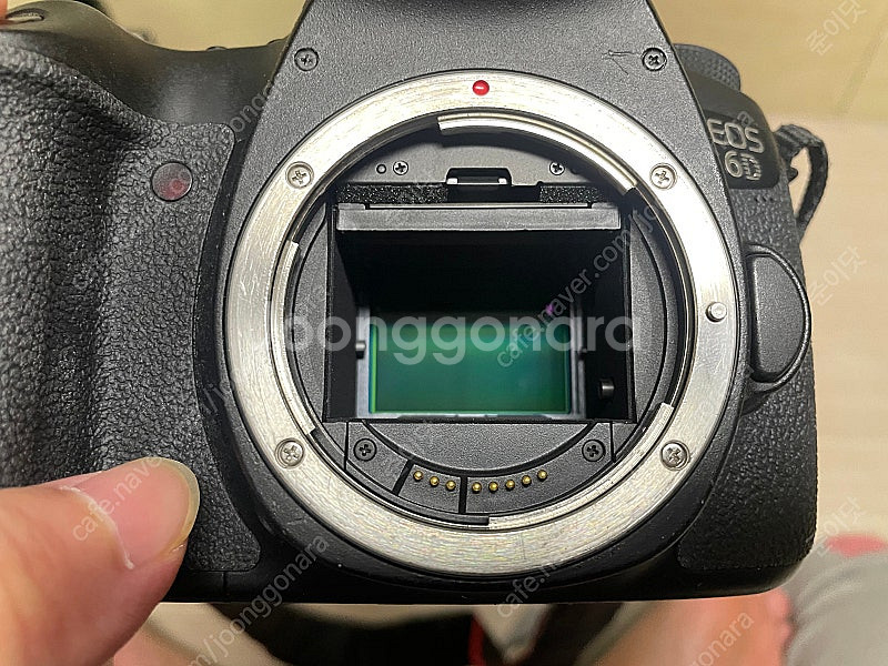 캐논 6D 바디--5