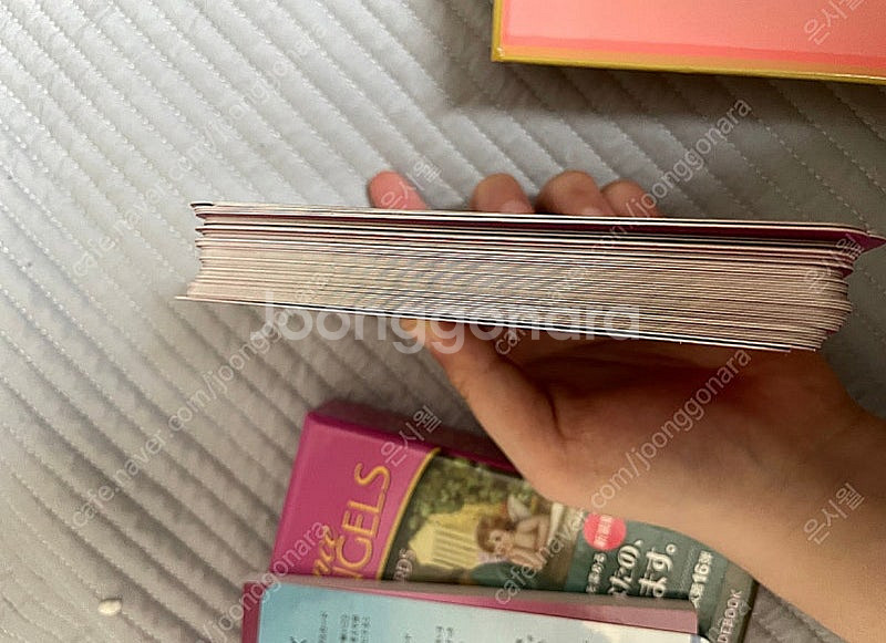 도린버츄/도린버추 로맨스 앤젤(로맨스 엔젤) 일어판 정품 급처합니다. (희귀덱, 절판)--2