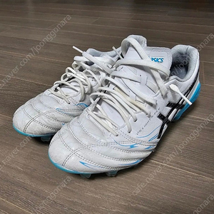 아식스 DS LIGHT X-FLY HG 255