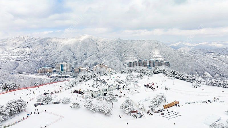 (12월14일) 비발디파크 확보객실!!--0