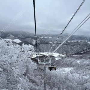 (리조트-슬로프바로연결) 태백 오투리조트!!