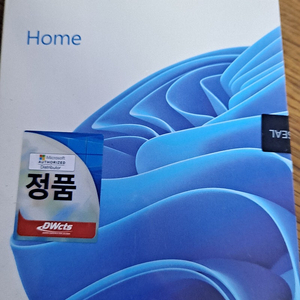 윈도우11 home 정품 usb