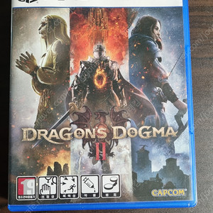 PS5 드래곤즈 도그마2