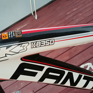 FANTASIR MTB 팔아요잔