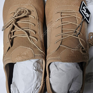 Fuego Shoes (푸에고 댄스화) 290~300 mm