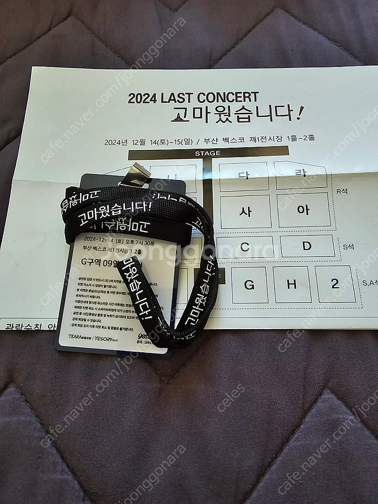 나훈아 2024 콘서트 부산--2