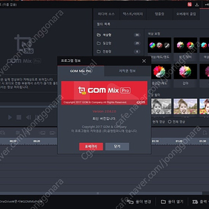 곰믹스 프로 무기한 라이센스 / Gom Mix Pro 영구 사용권 정품 등록키