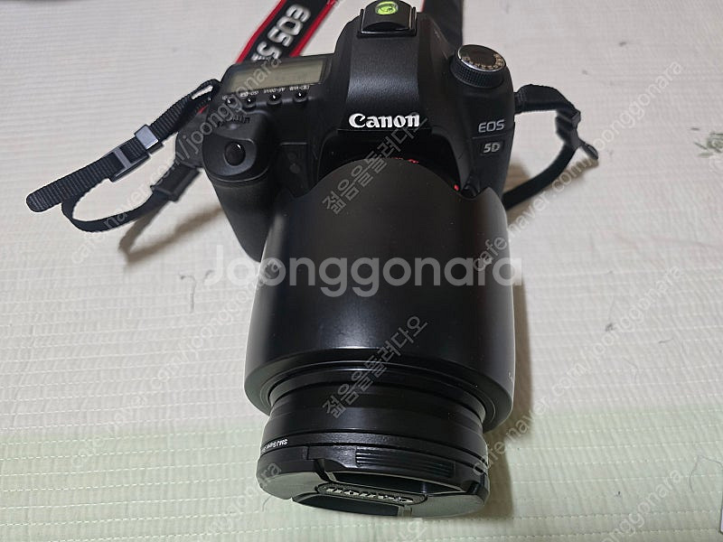 캐논 5D MK2 (5천컷대) + 24-70 2.8(구...--1