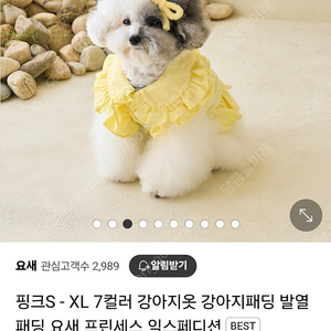 요새 강아지 발열 패딩옷