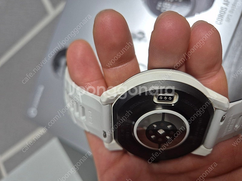 코로스 아펙스2프로 킬리언조넷 에디션--5