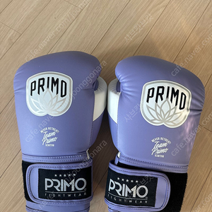 글러브 16온즈 팝니다 , Primo 16oz